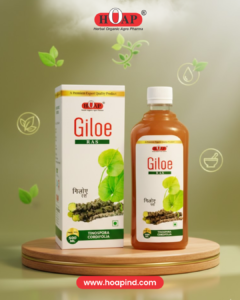 HOAP Giloe Ras 500ml