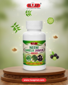 Neem Karela Jamun Churan 100gm