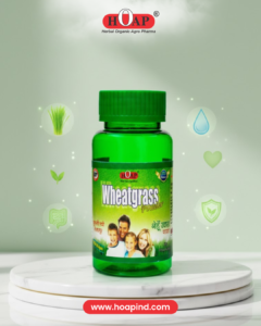 Wheatgrass Powder 35gm