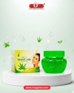 Skin Care Aloe Gel 100gm