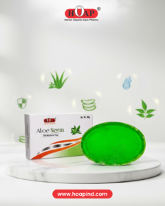 Aloe Neem Soap